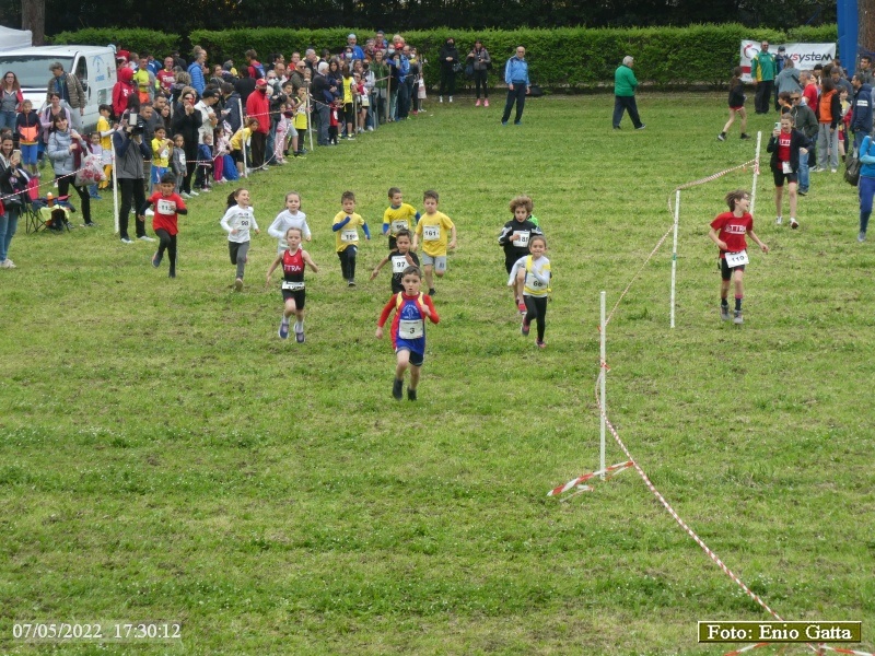 Ravenna: Teodora Ravenna Run - 07 maggio 2022